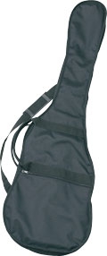 Gig Bag