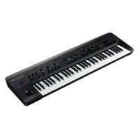 Korg KingKorg (Synthesizer)