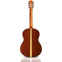 Cordoba C12-CD Klasik Gitar