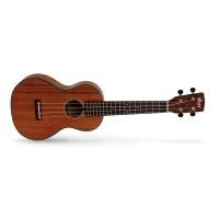 CORT UKE-BWC OP UKULELE, OPEN PORE BLACKWOOD, BLACKWOOD KAPAK, BLA