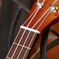 CORT UKE-BWC OP UKULELE, OPEN PORE BLACKWOOD, BLACKWOOD KAPAK, BLA