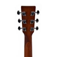 Ditson D-10 Akustik Gitar (Natural)