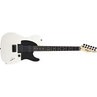 Fender Jim Root Tele EB FWT