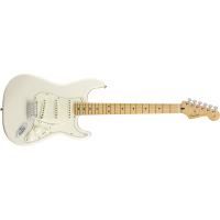 Fender Player Strat MN PWT