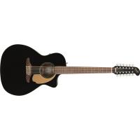 Fender Villager 12 STR WN BLK w/bag