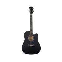 Fenix PSAG-13/BK Akustik Gitar (Siyah)