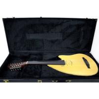 Godin 035557 Ud Hard Case