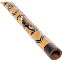 Meinl DDG1-BR Bamboo Didgeridoo (Brown Painted/Carved)