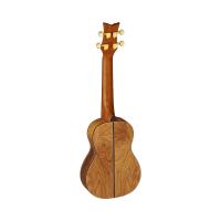 Ortega LIZARD-CC-GB Elektro Concert Ukulele (Lizard)