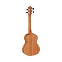 Ortega RFU11SE Elektro Concert Ukulele (Natural)