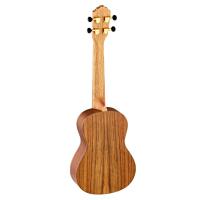 Ortega RUTI-CC Concert Ukulele (Natural)