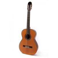 Raimundo 129 Cocobolo Cedar Klasik Gitar