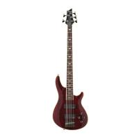 Schecter Omen Extreme 5 Bas Gitar