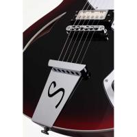 Schecter TSH-1 RMRB Elektro Gitar