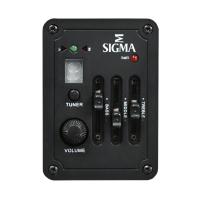 Sigma DM12E 12 Telli Elektro Akustik Gitar (Natural)