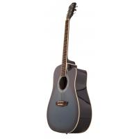 Washburn WA90CBLB Akustik Gitar