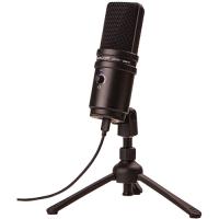 Zoom ZUM-2 USB Condencer Mikrofon